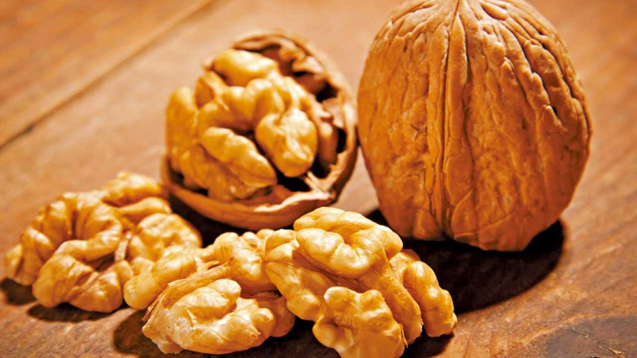 研究:合桃或有助學生改善身心狀況