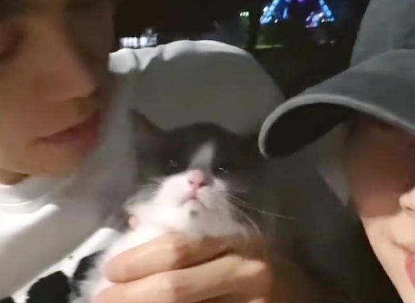 有網民發現,作為「媒人」的貓有顆媒婆痣。(互聯網)