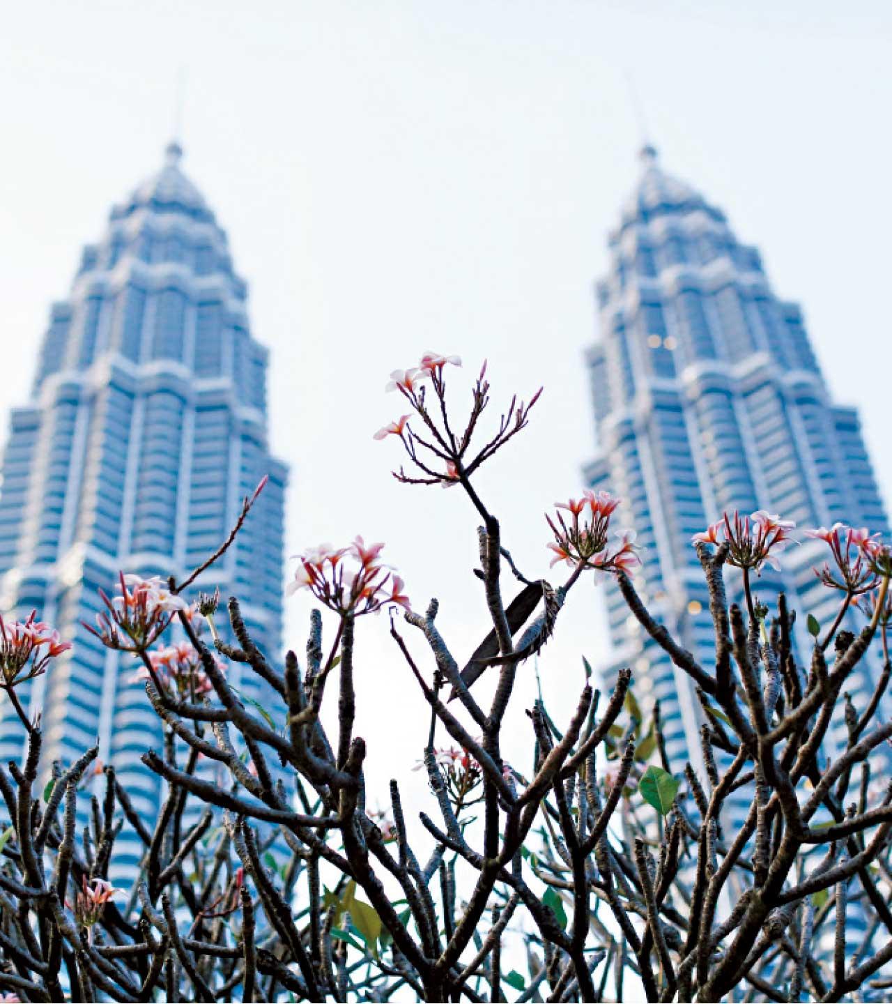 海外樓市專題|今年環球移民三大趨勢