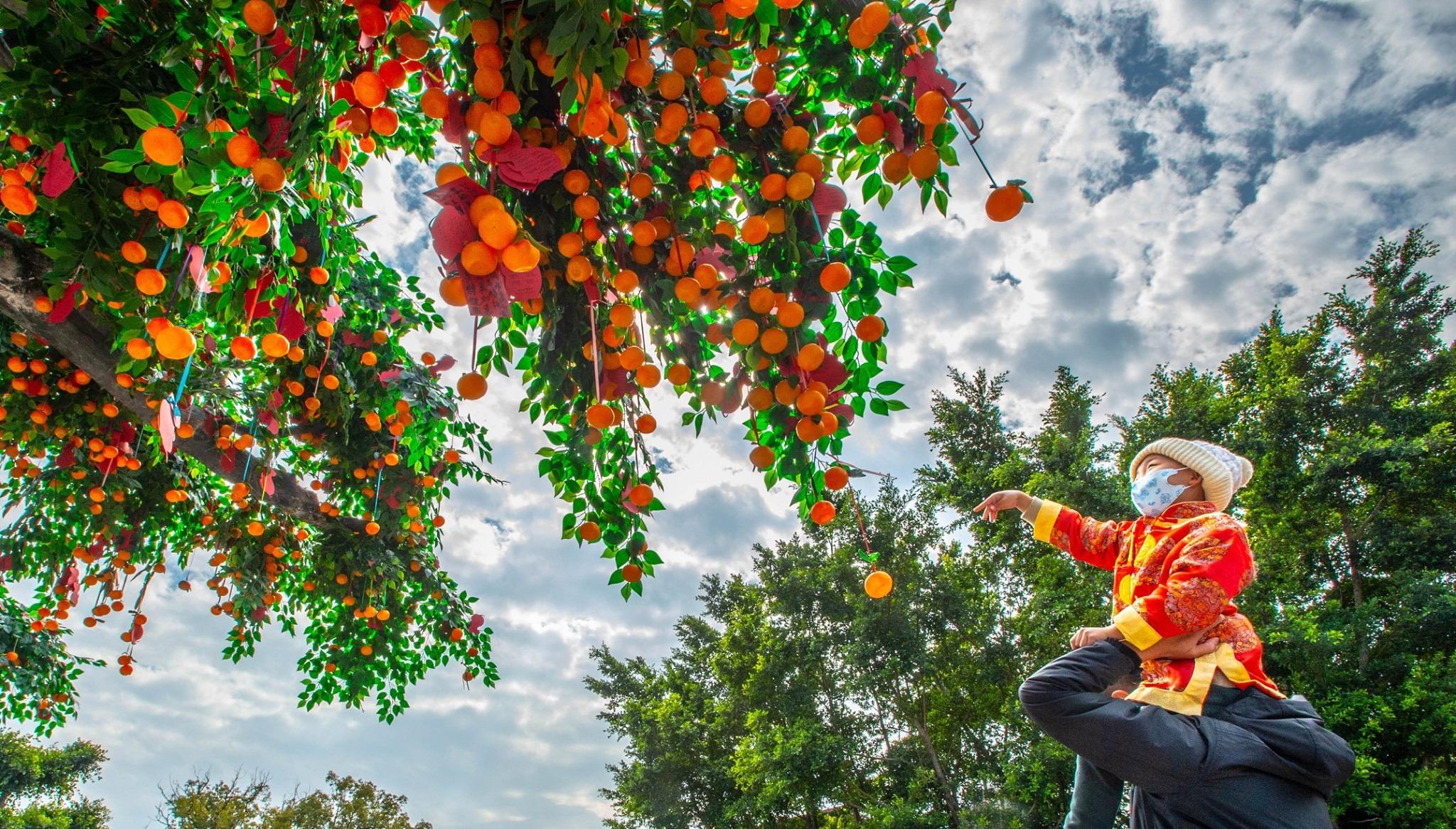 新年好去處2023|大埔林村許願節 (圖及來源:香港許願節FB)