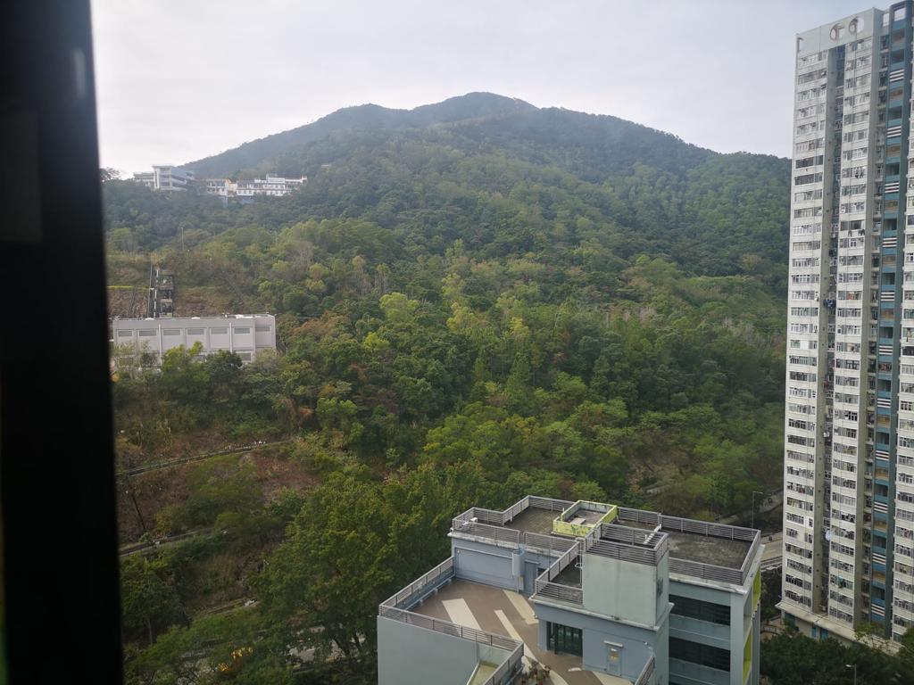 單位望翠綠山巒景色。(代理提供)