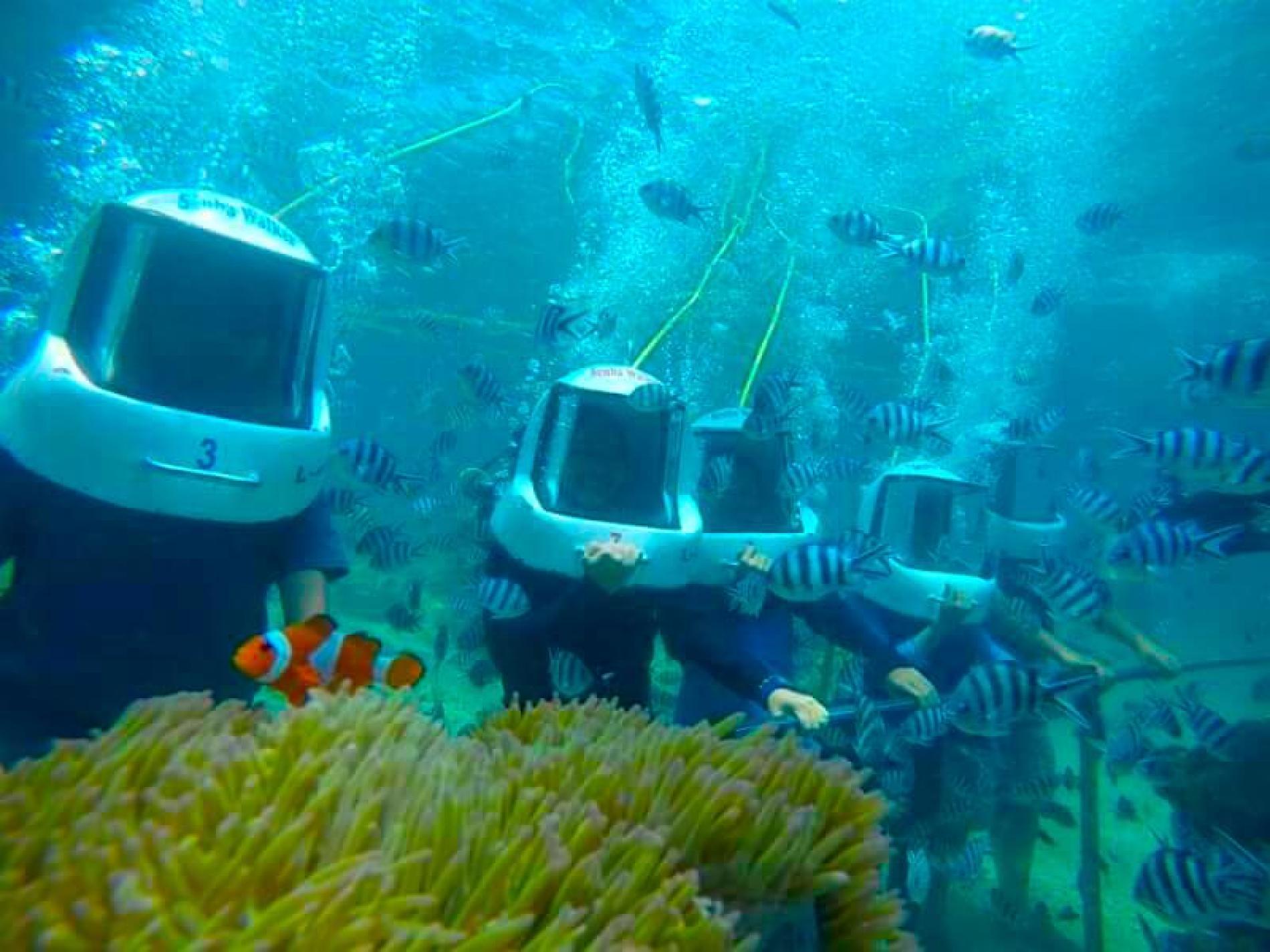 沙巴沙庇島海底漫步