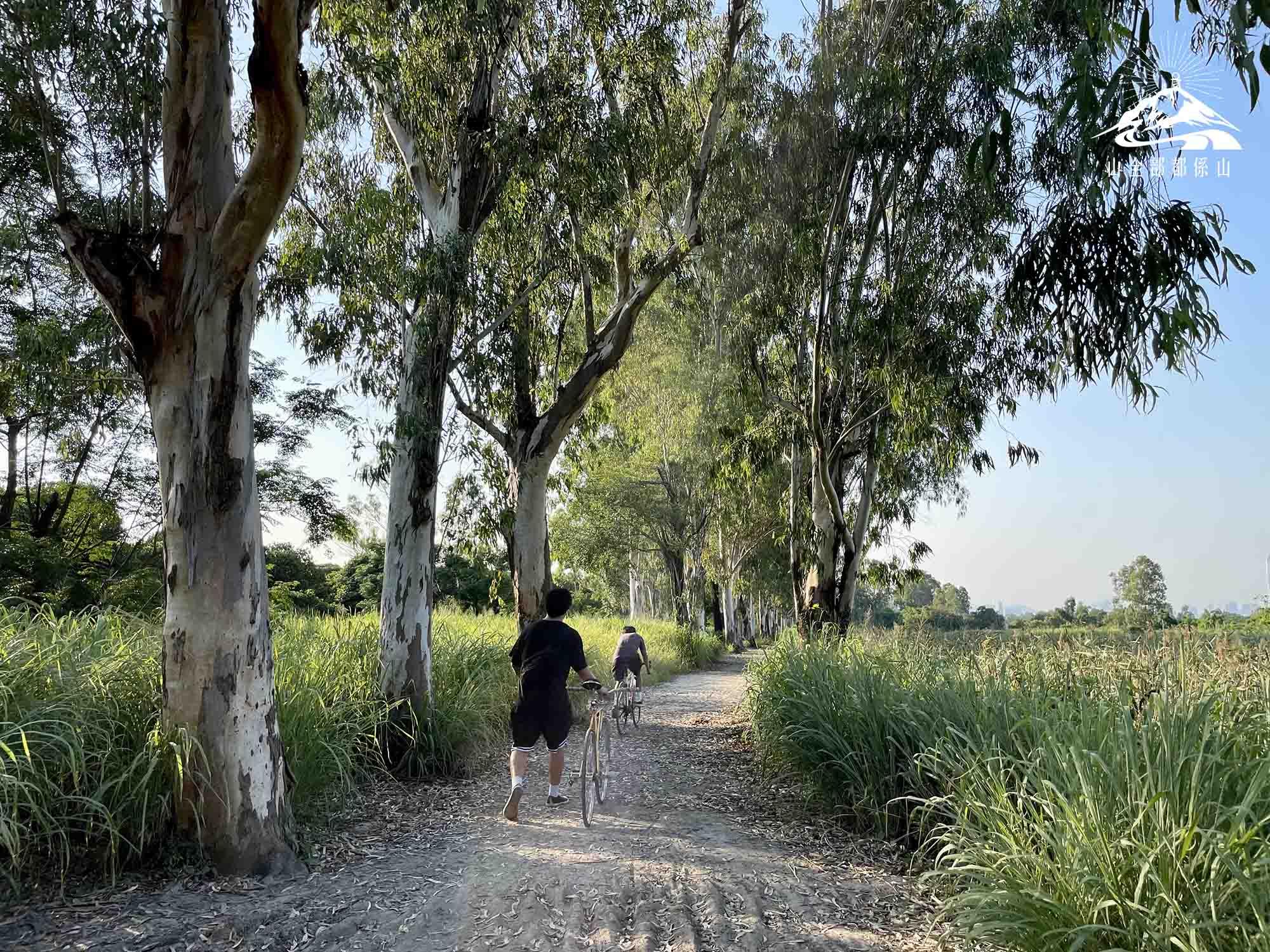 南生圍既可行山郊遊、又可跑步及踩單車。