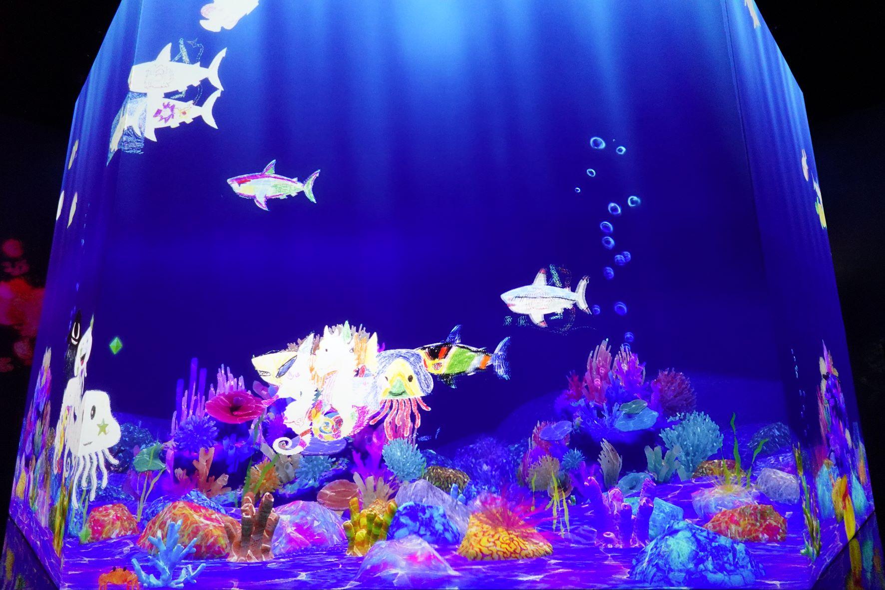 按喜好給紙上的海洋生物塗上顏色,運用科技技術,把大家繪畫的海洋生物投射出來