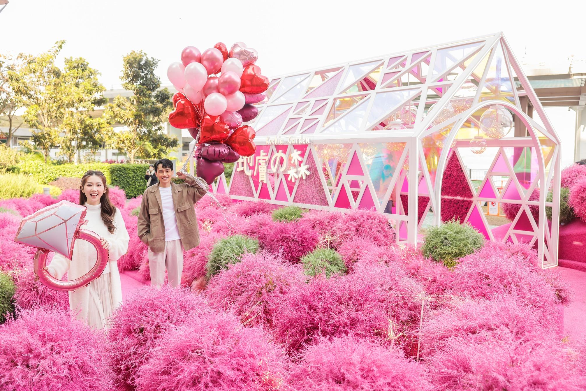 情人節好去處/活動2023|北角海濱《地膚之森》波波草園