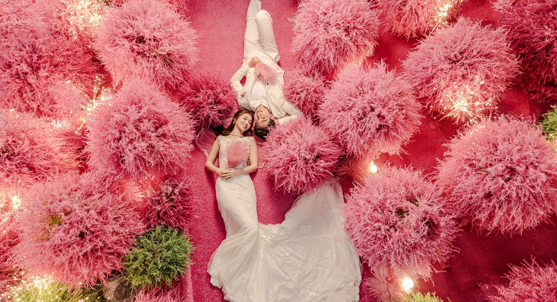 情人節好去處/活動2023|北角海濱《地膚之森》波波草園