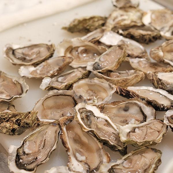 世界各地時令食材