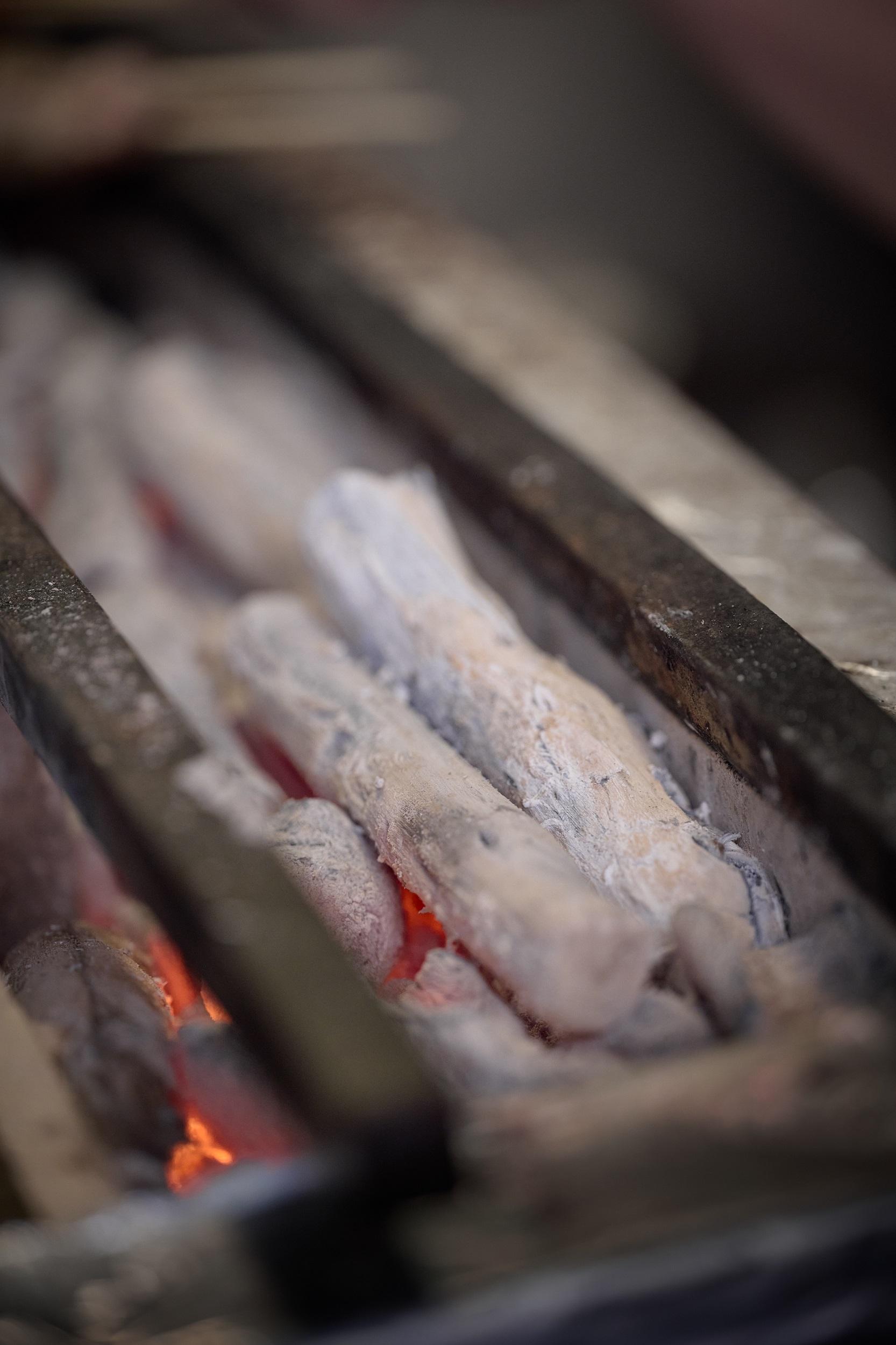 「燒鳥塚田」走地雞明爐串燒+料理