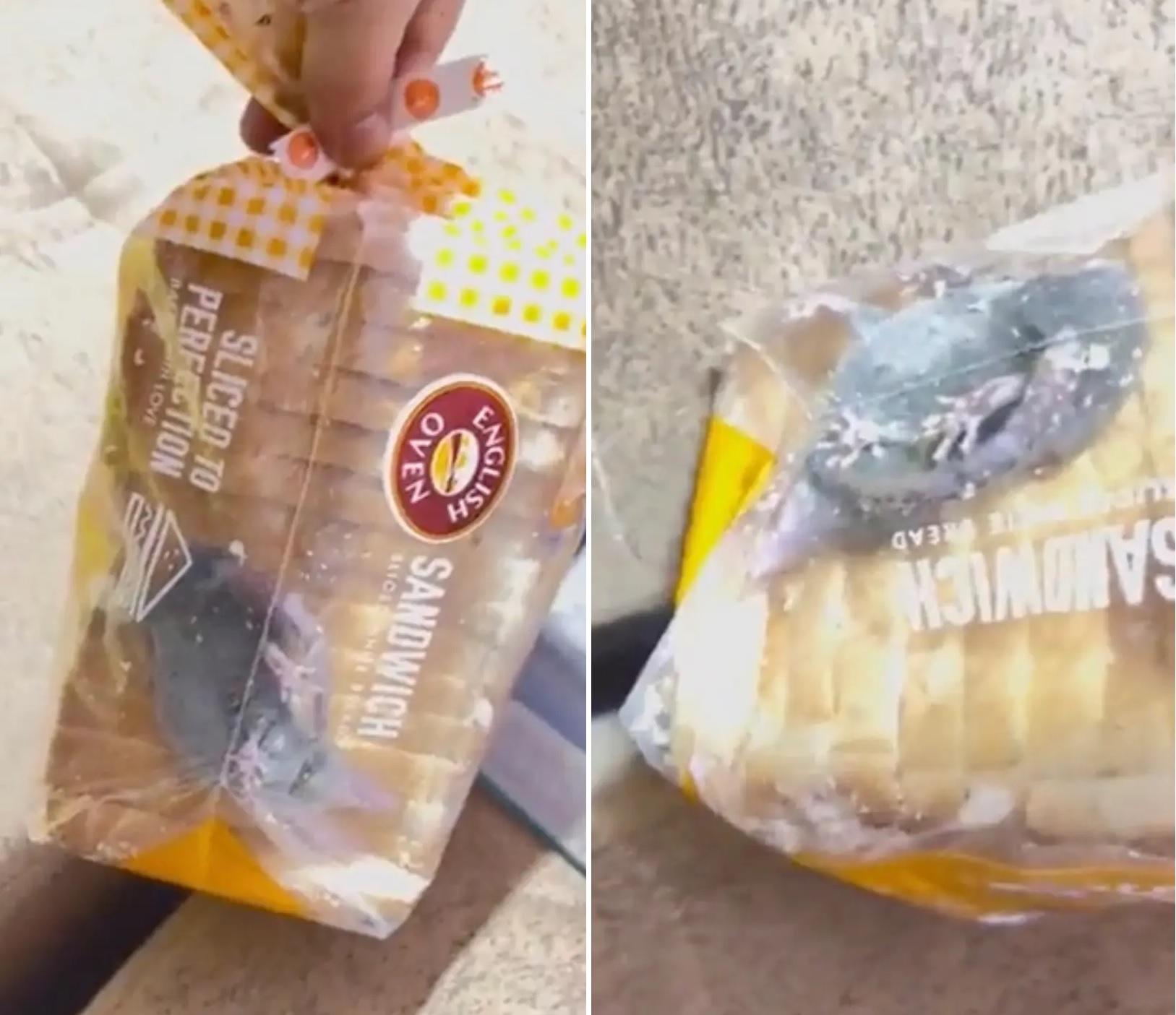 事主拍片,顯示袋裝麵包裡有活老鼠。(互聯網)