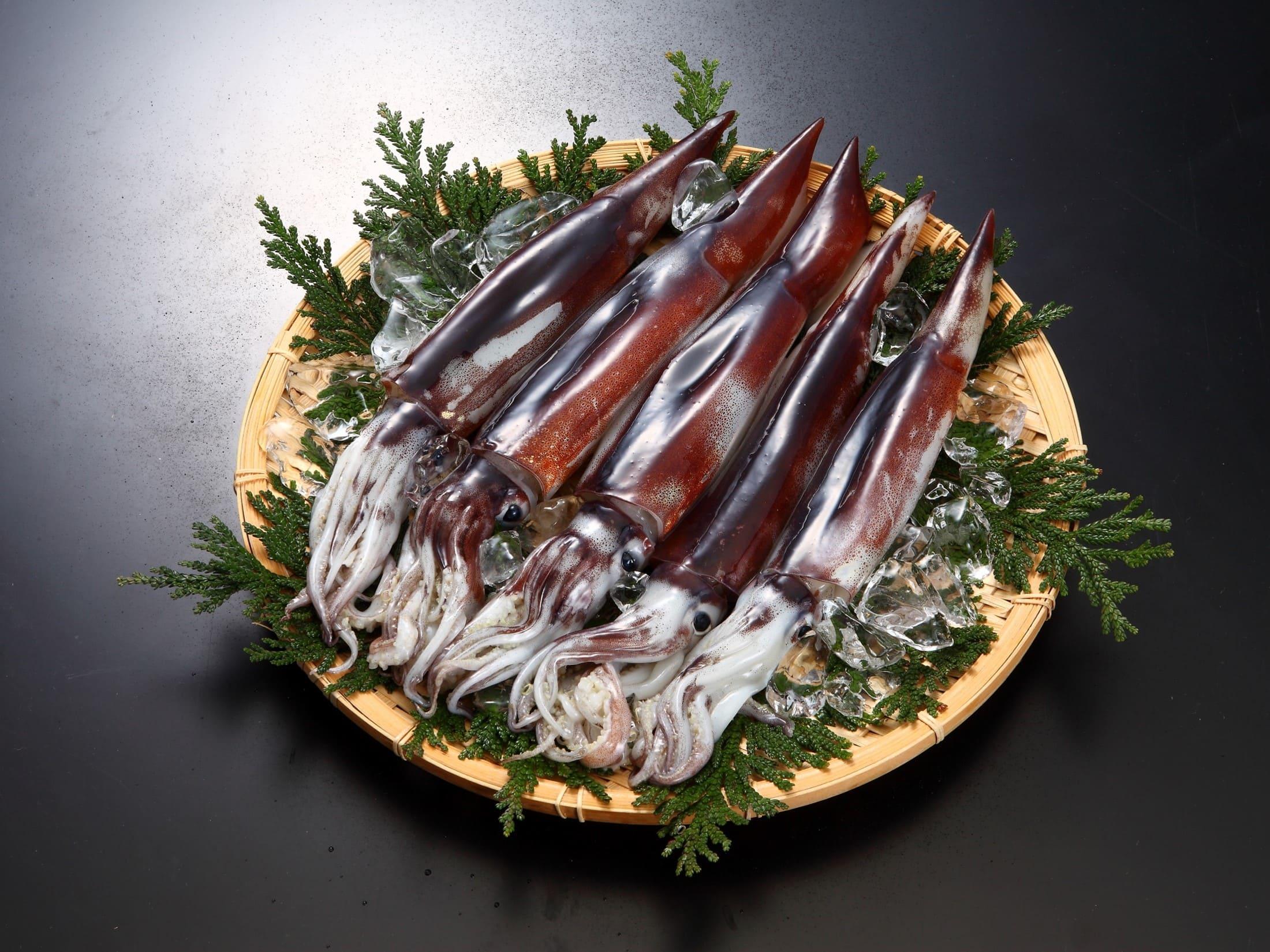 青森縣的魷魚產量亦位居日本首位。