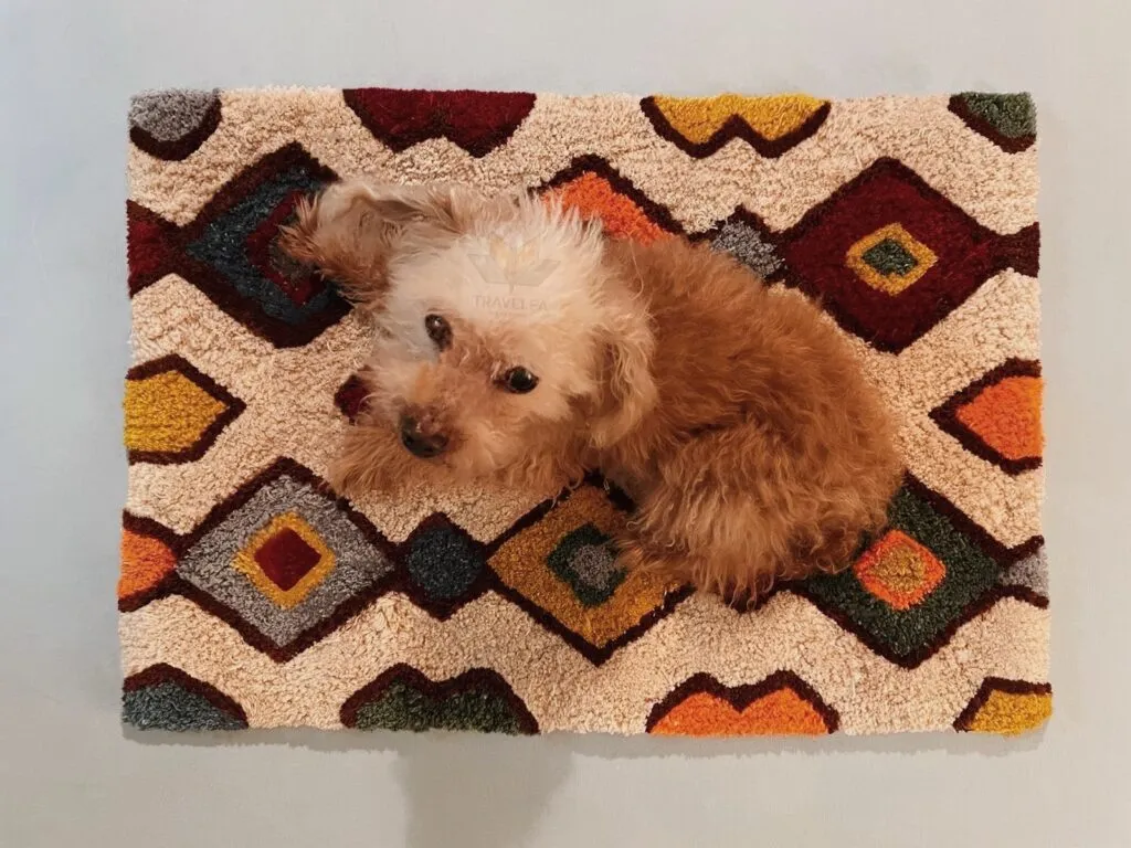 情人節好去處/活動2023|Travelfa 摩洛哥風格地氈工作坊