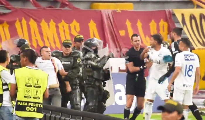 球場警察拘捕球迷。(影片截圖)