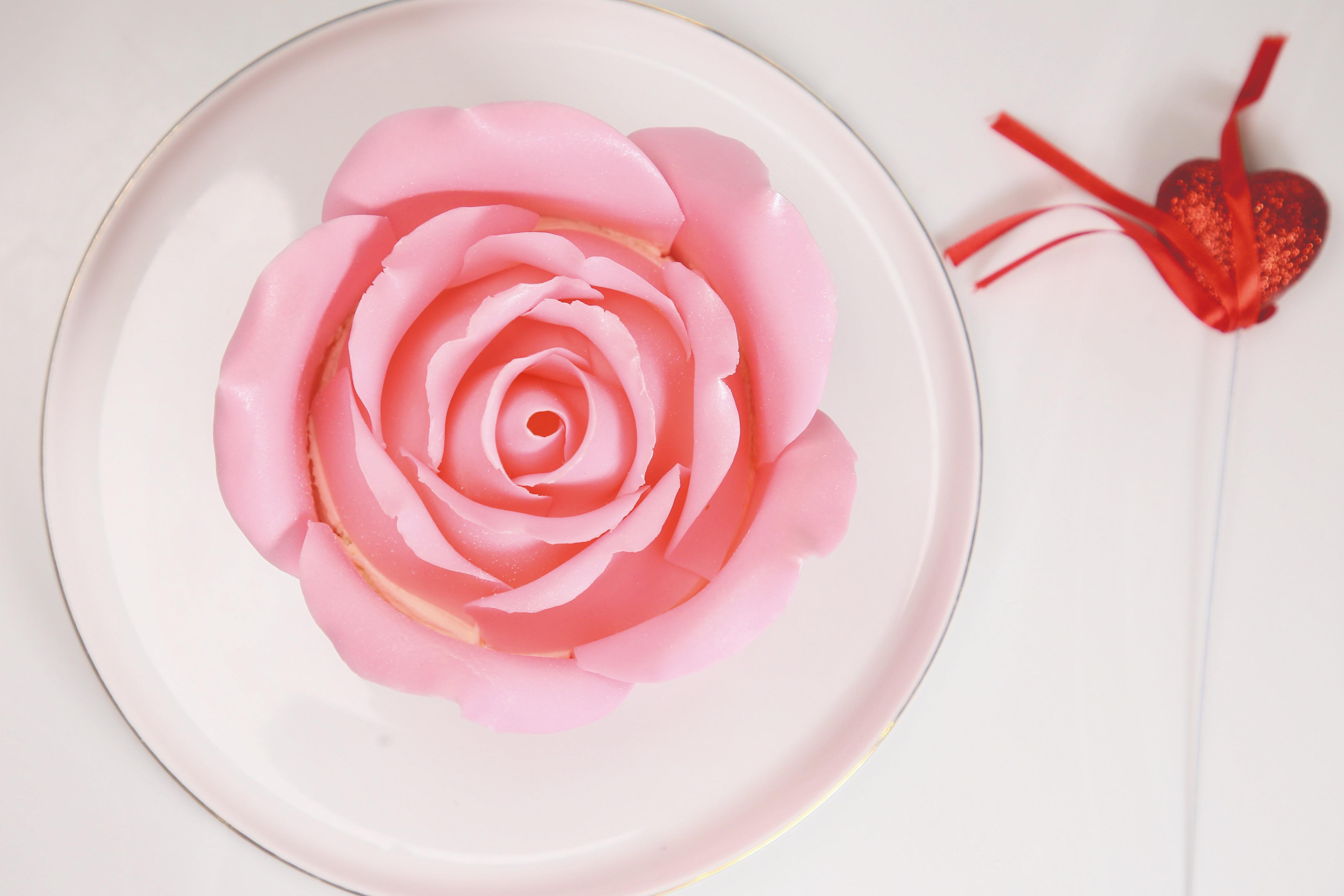 情人節好去處/活動2023|HKNOC 浪漫「煮」意工作坊 玫瑰蛋糕