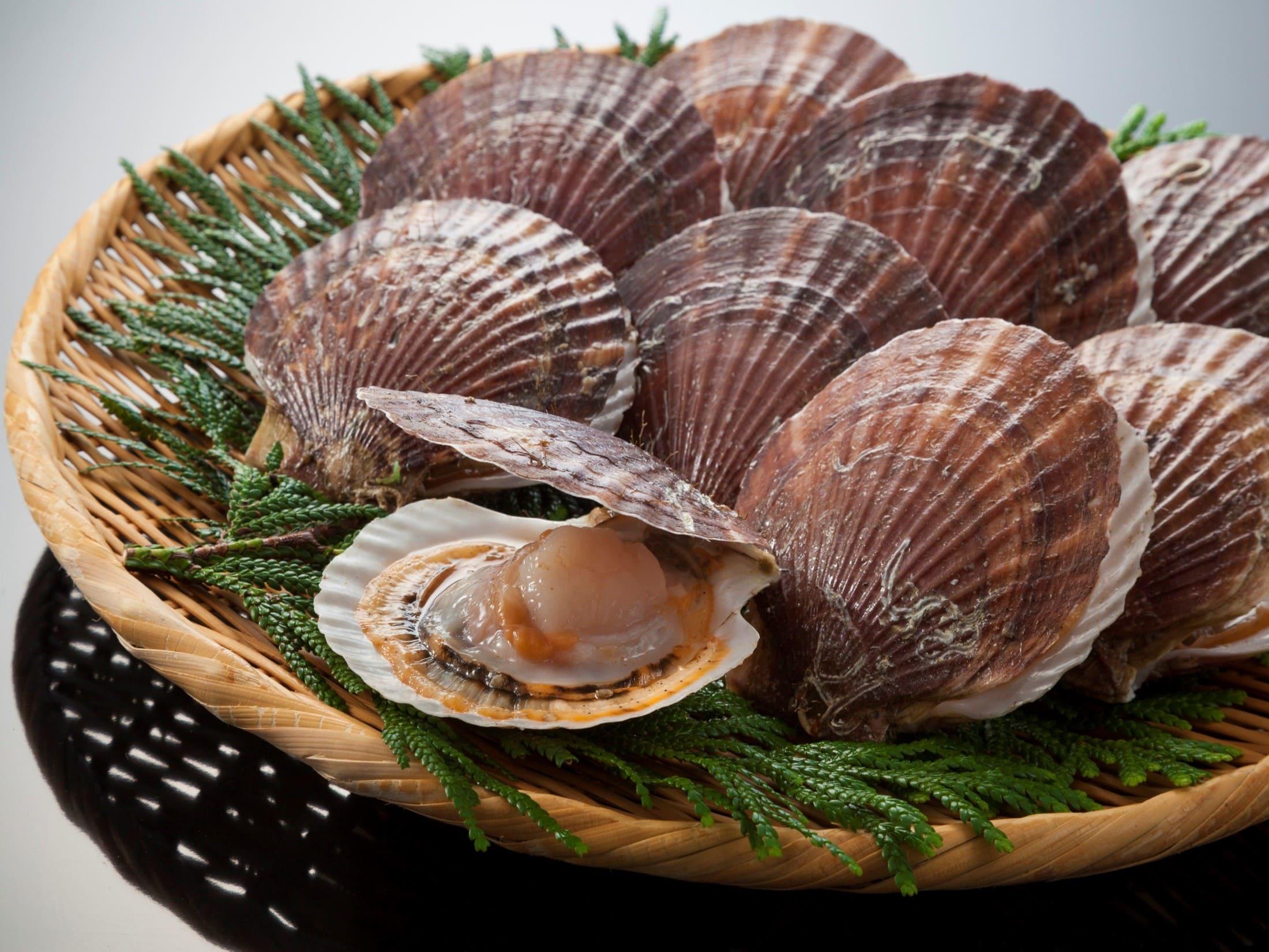 青森縣是日本最大的扇貝產地之一。