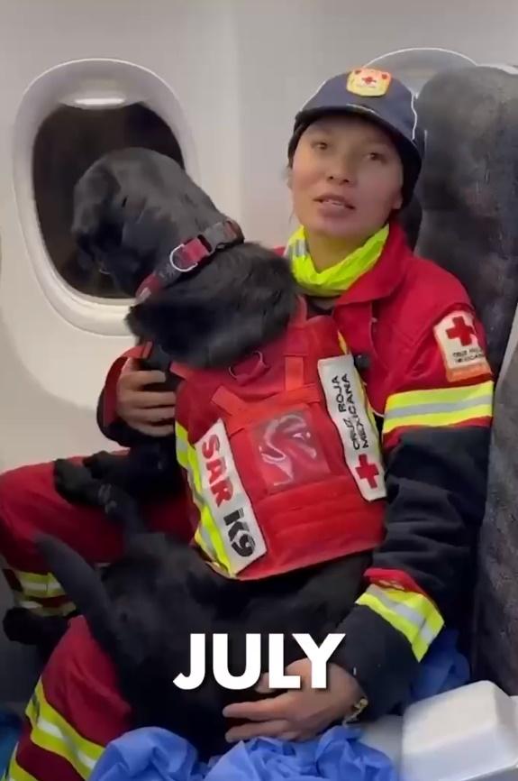 16隻搜救犬之一。(Twitter)