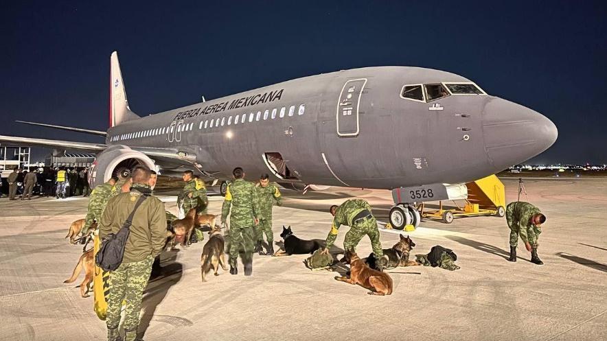 Proteo是上周二(7日)被派往土耳其救災的墨西哥16隻搜救犬之一。(Twitter)