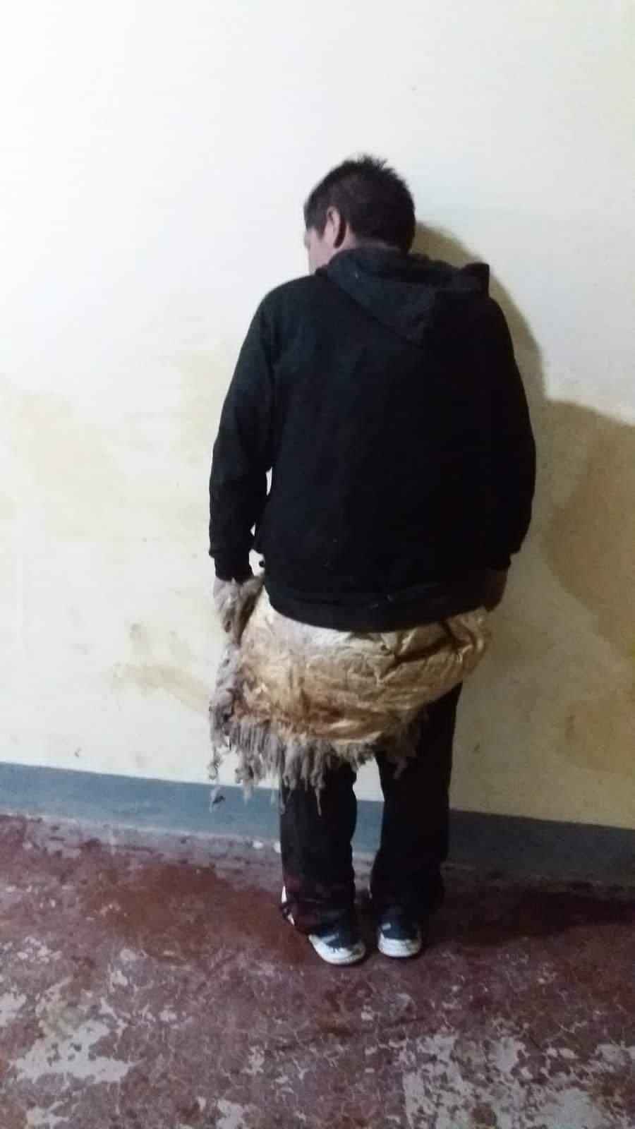 殺人犯José Luis Callisaya Diaz穿著羊毛外套試圖扮羊逃獄。(Twitter)