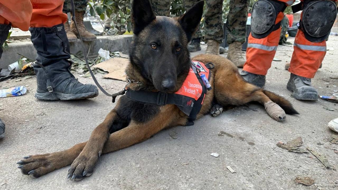 獬豸(해태)。(FB)