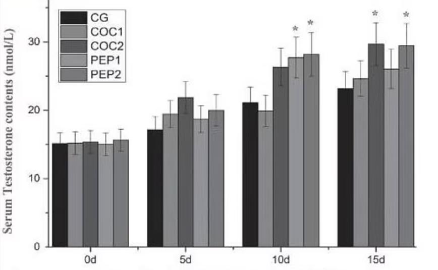研究對老鼠進行為期15日的觀察,並定期進行驗血及測量睪丸重量等檢測。(《內分泌學報》)
