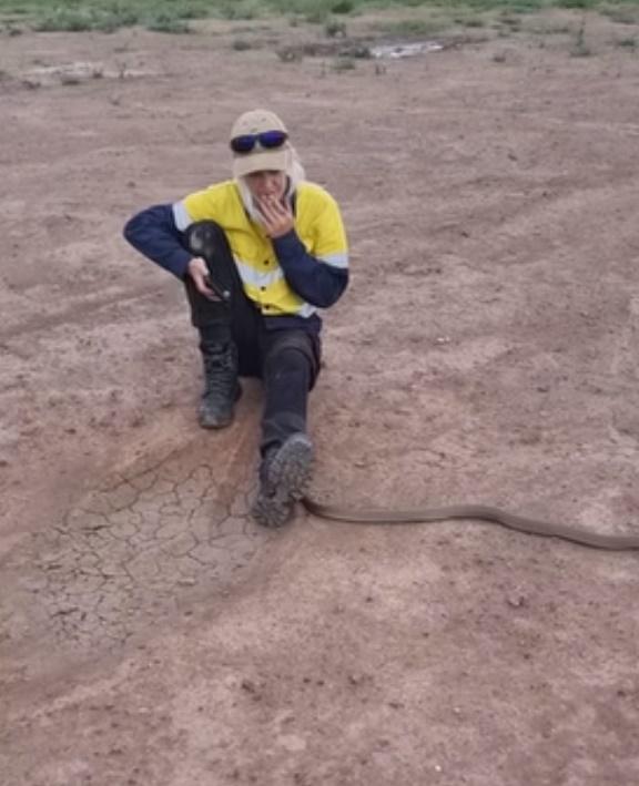 一條致命毒蛇竟然鑽到她腿下,等到Ayla Manson發現時已經來不及跳開。(FB)