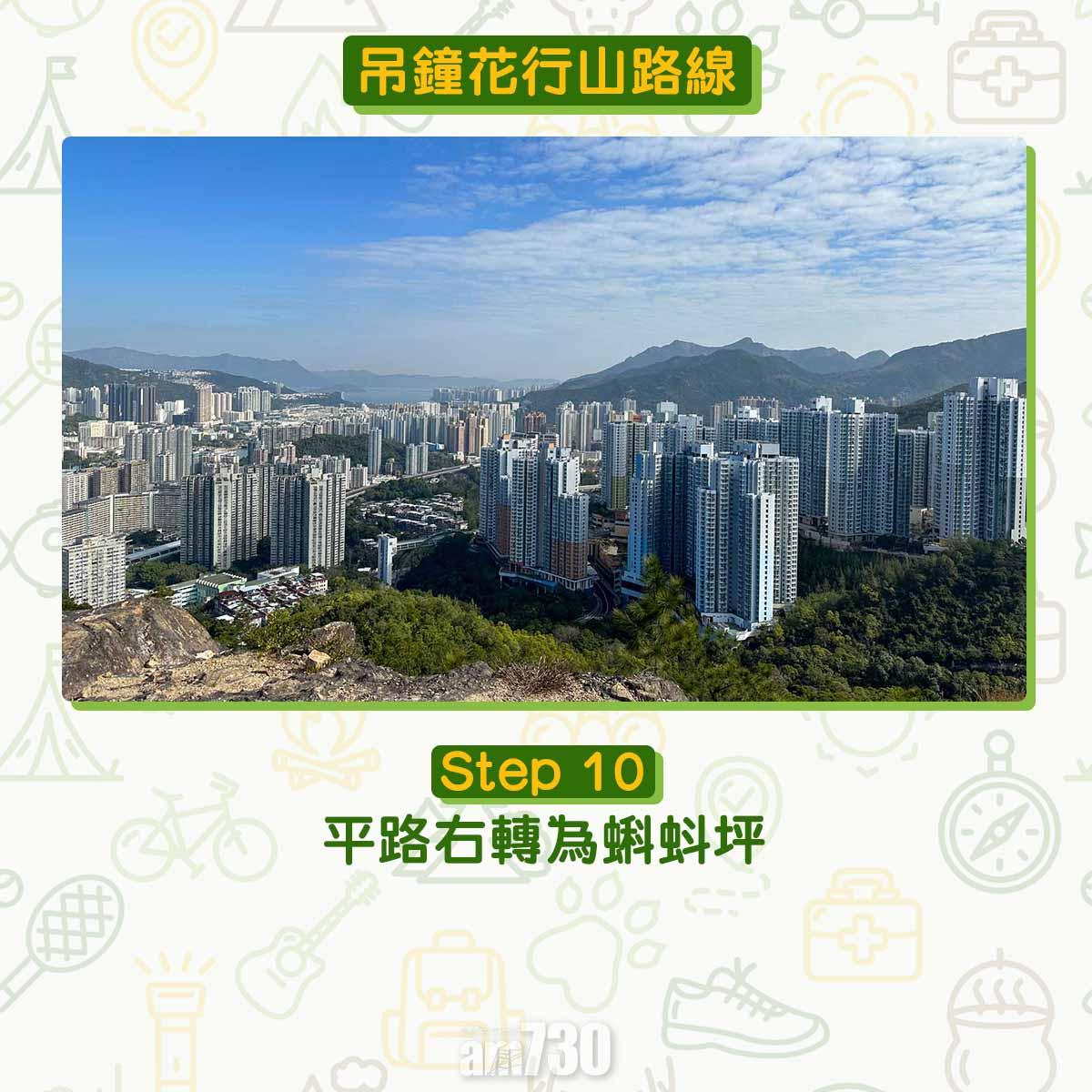 吊鐘花︱十二笏鄰近沙田圍黃大仙 市區簡易賞花之選