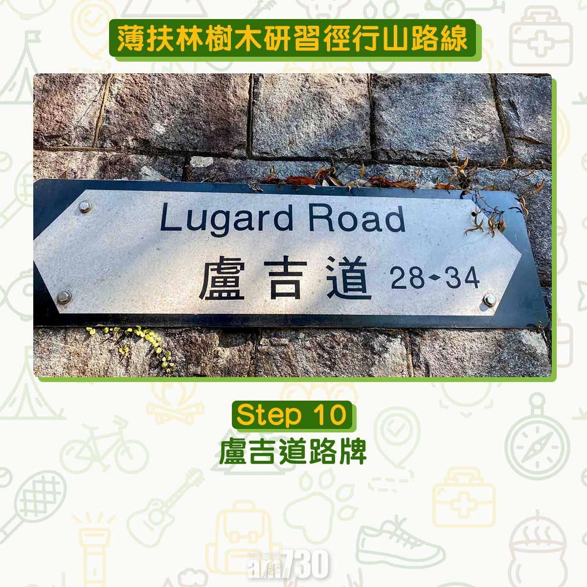 薄扶林樹木研習徑 繞太平山一圈180度賞維港