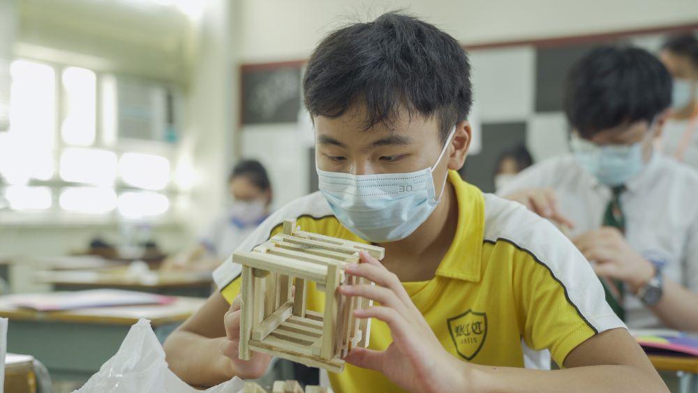 HKDI社會設計工作室舉辦的賽馬會「樹木再造」青年共創企劃