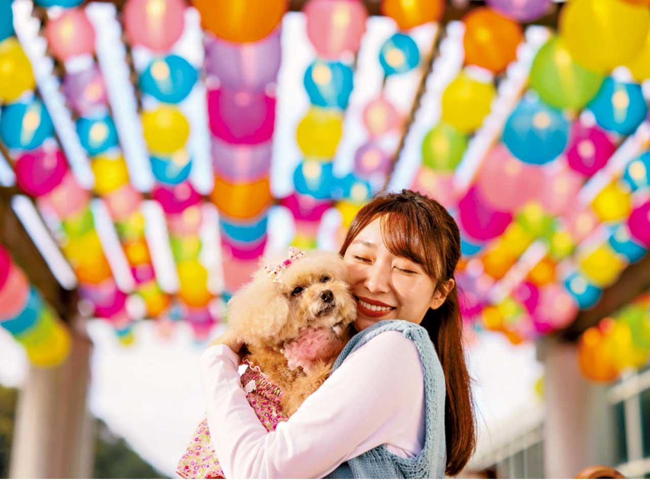 山頂廣場一日遊