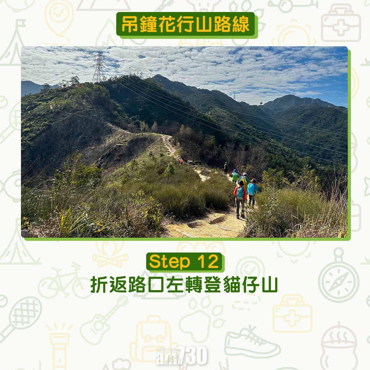 吊鐘花︱十二笏鄰近沙田圍黃大仙 市區簡易賞花之選