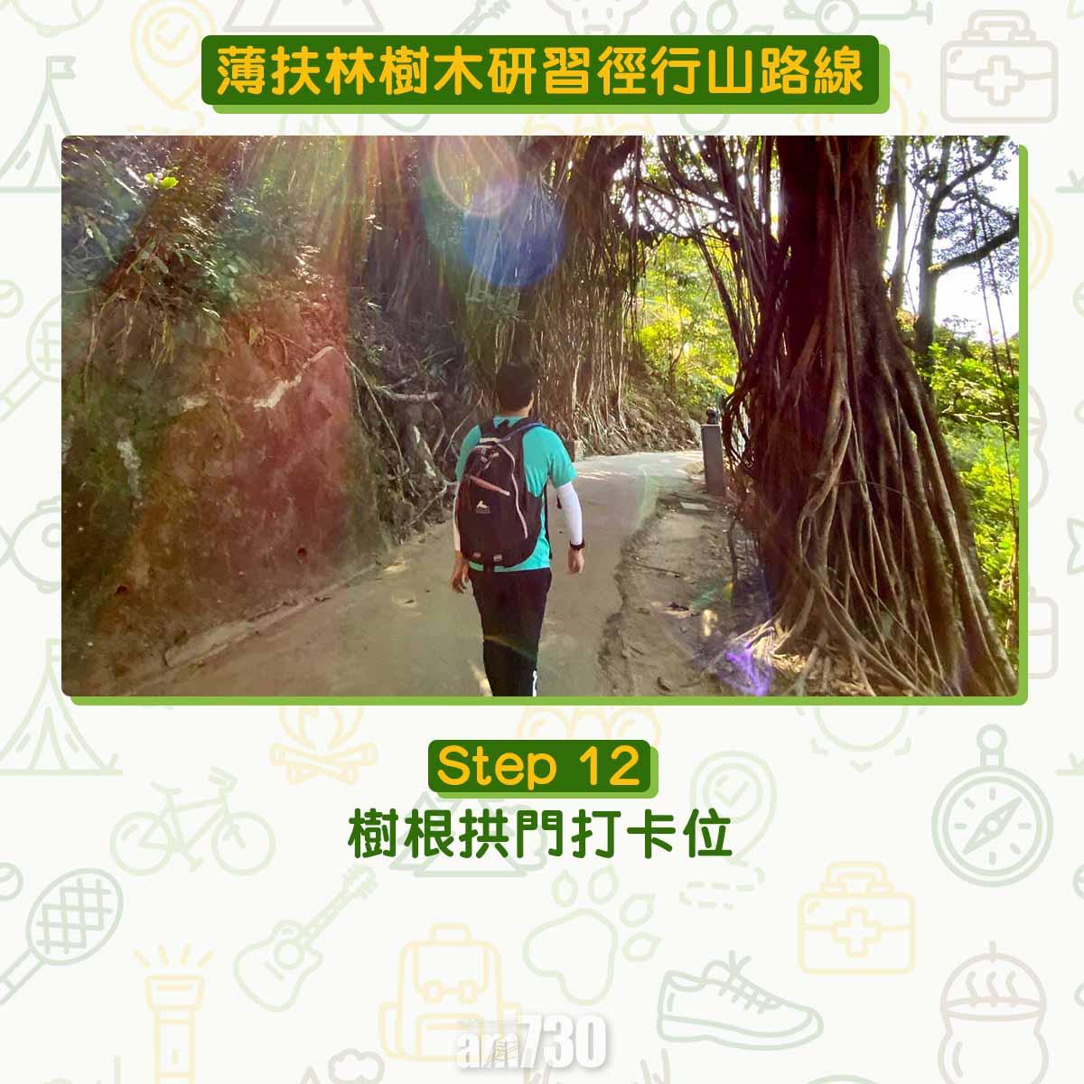 薄扶林樹木研習徑 繞太平山一圈180度賞維港