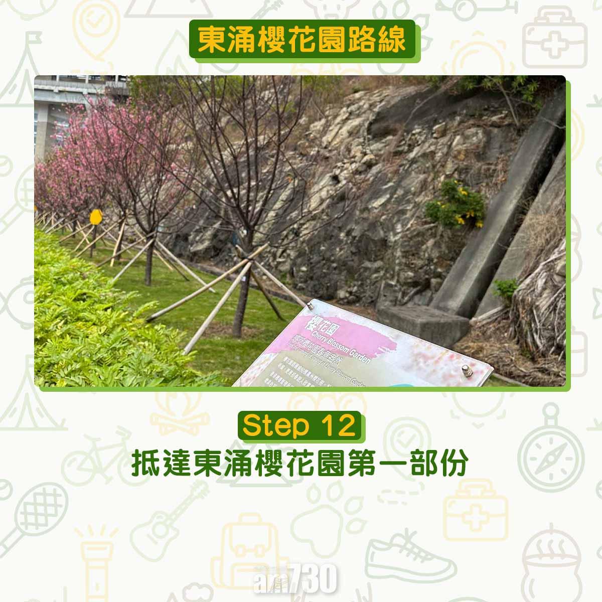 東涌櫻花園交通及位置