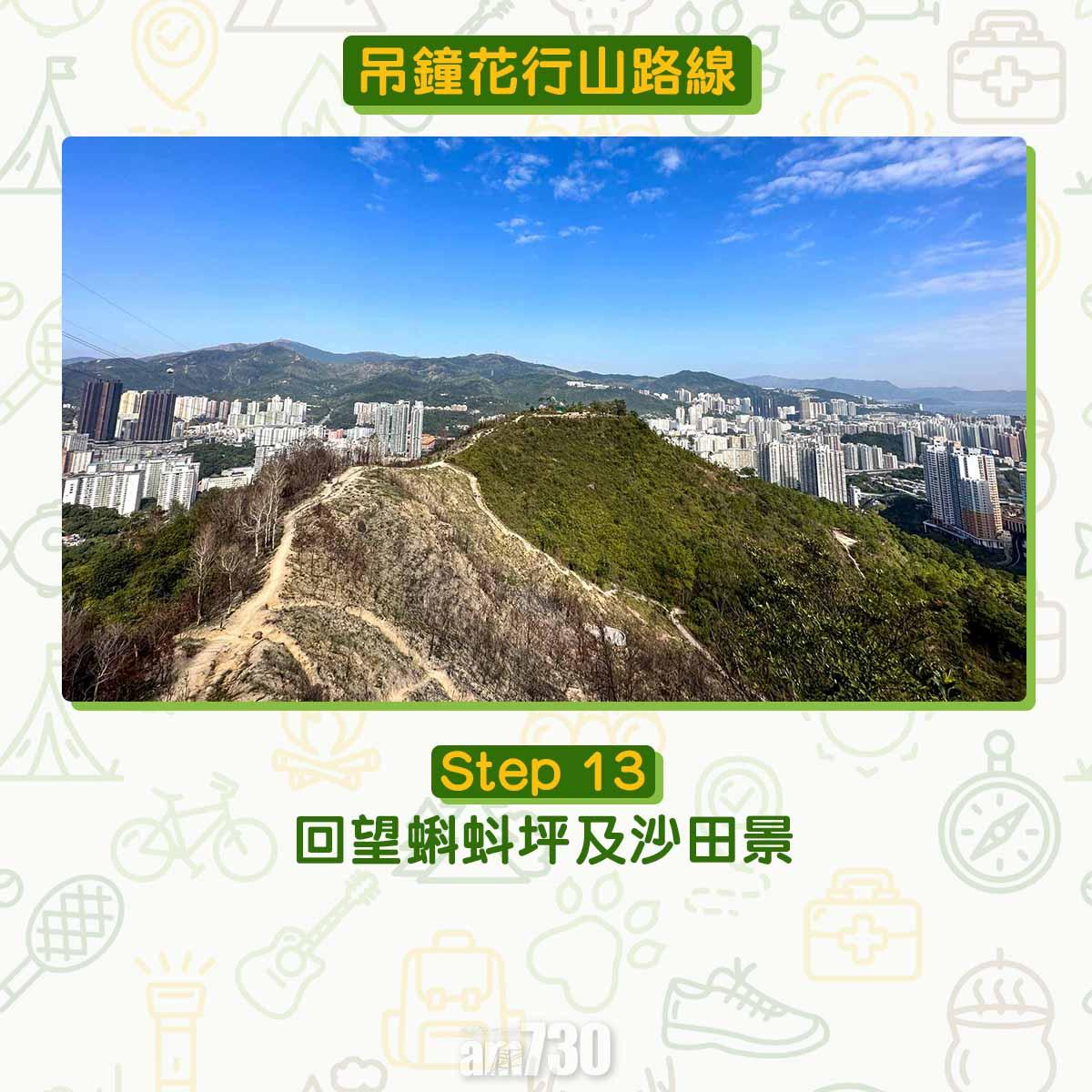 吊鐘花︱十二笏鄰近沙田圍黃大仙 市區簡易賞花之選