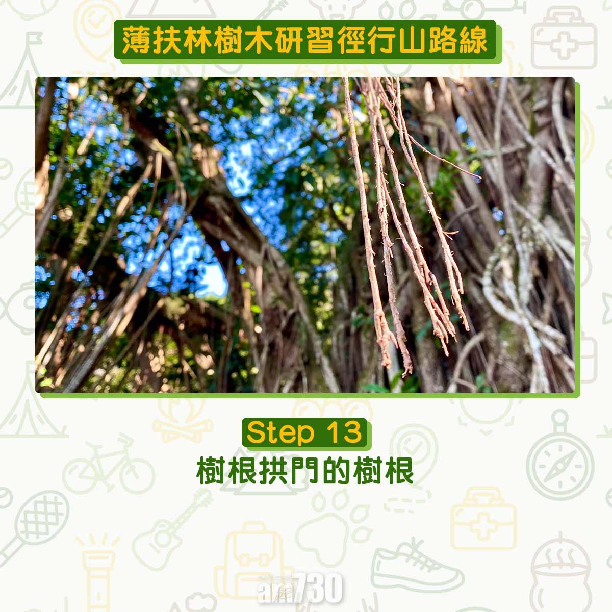 薄扶林樹木研習徑 繞太平山一圈180度賞維港