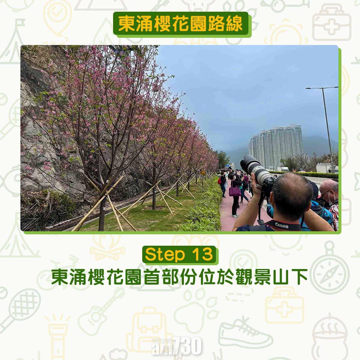 東涌櫻花園