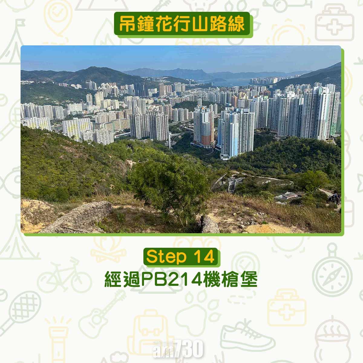 吊鐘花︱十二笏鄰近沙田圍黃大仙 市區簡易賞花之選
