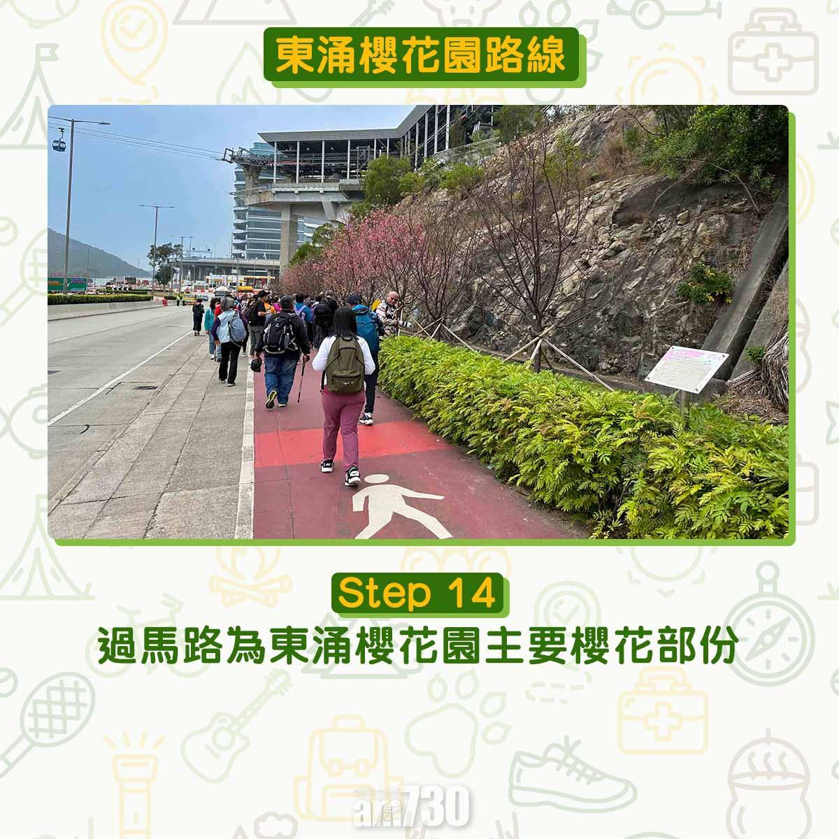東涌櫻花園