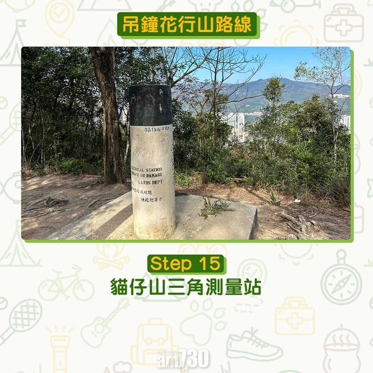 吊鐘花︱十二笏鄰近沙田圍黃大仙 市區簡易賞花之選