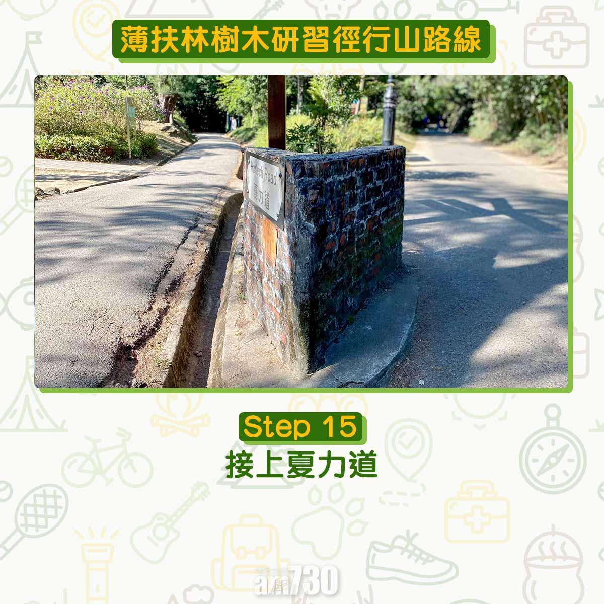 薄扶林樹木研習徑 繞太平山一圈180度賞維港