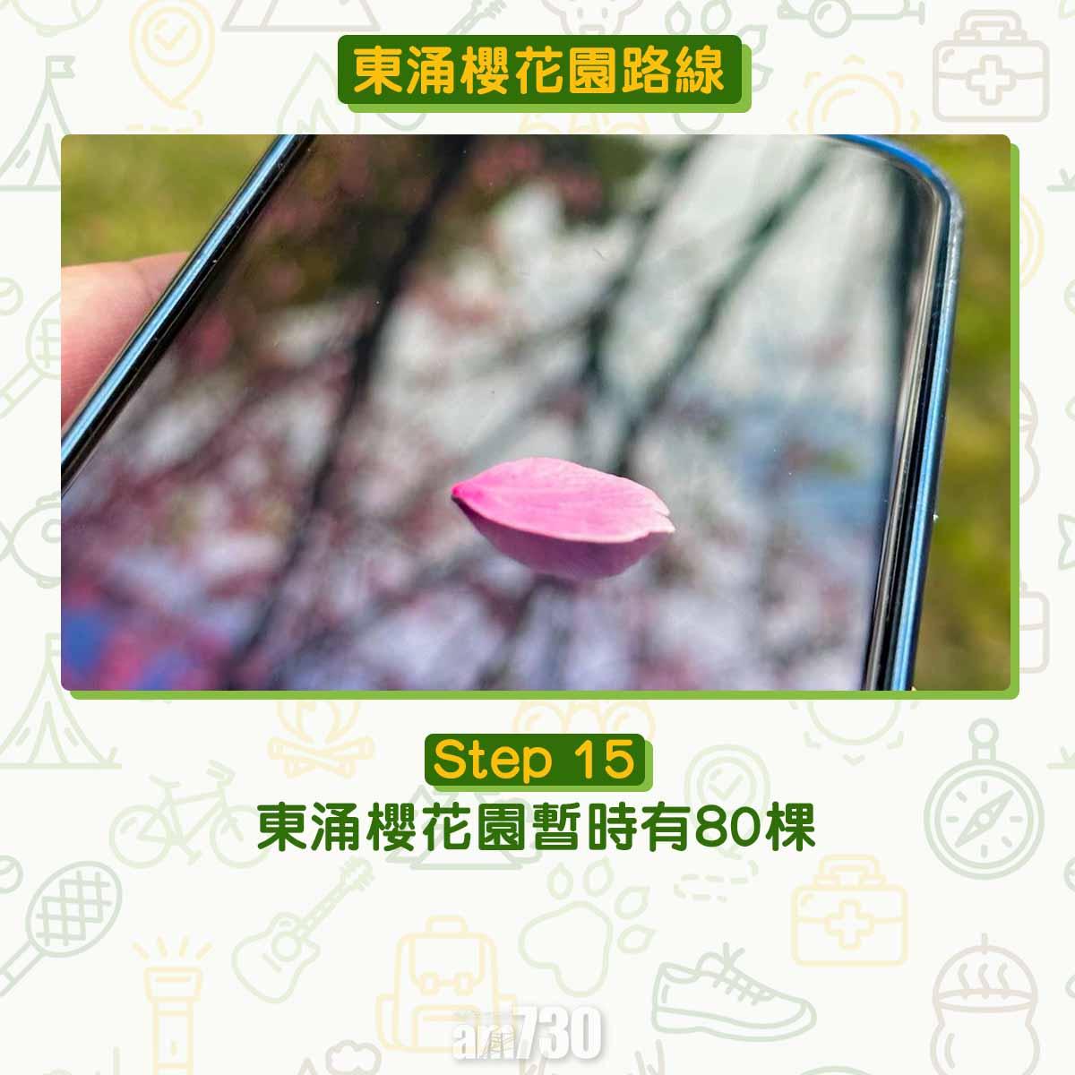 東涌櫻花園