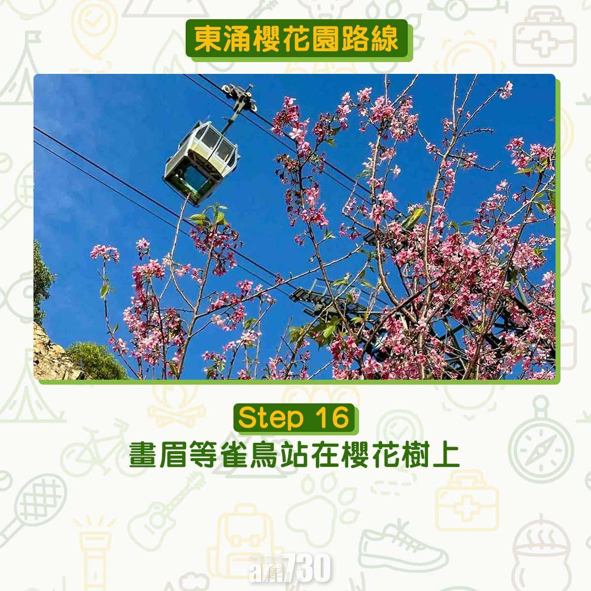 東涌櫻花園