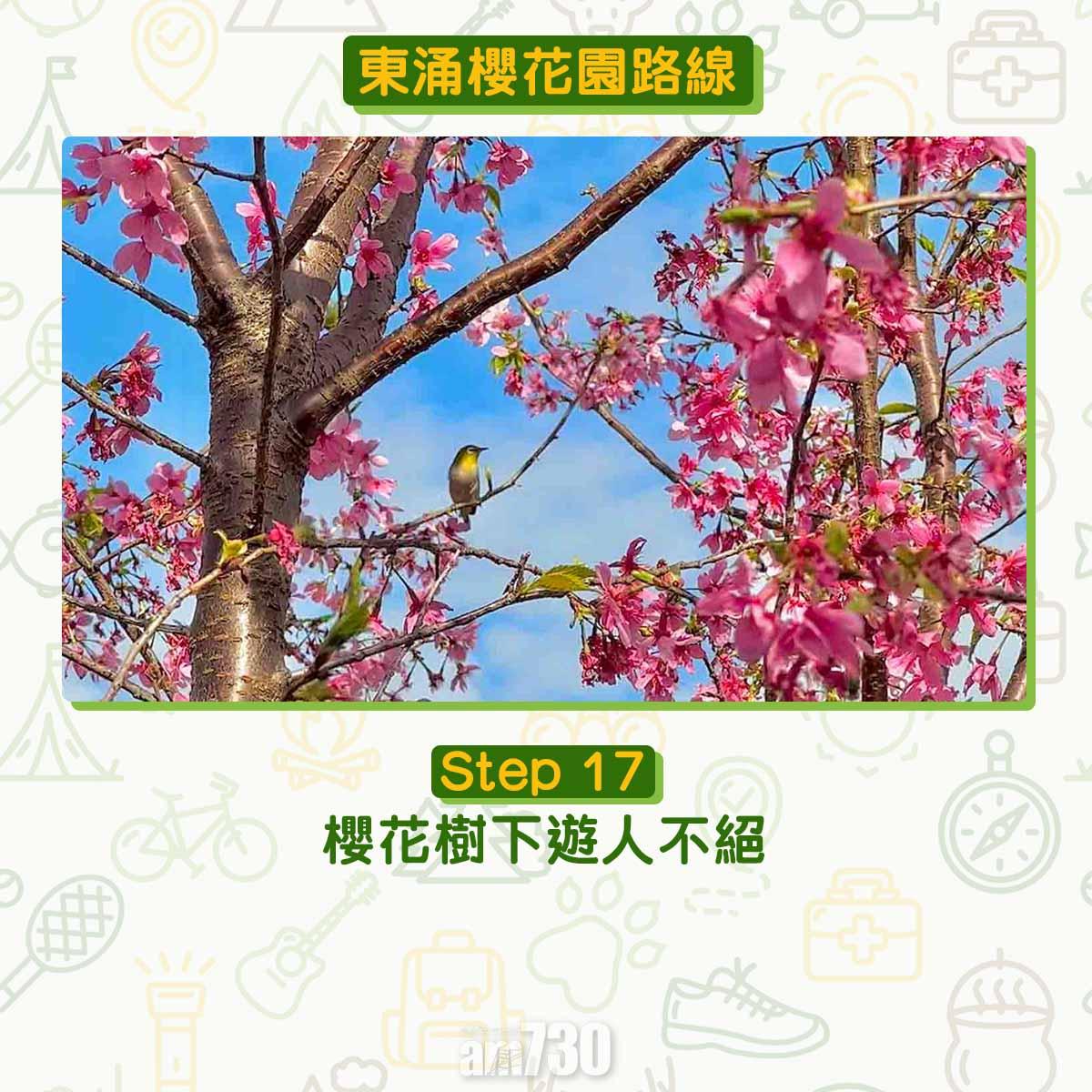 東涌櫻花園