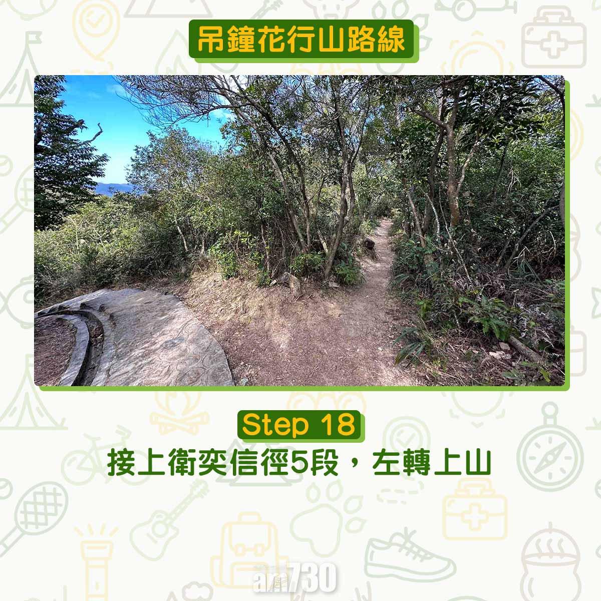 吊鐘花︱十二笏鄰近沙田圍黃大仙 市區簡易賞花之選