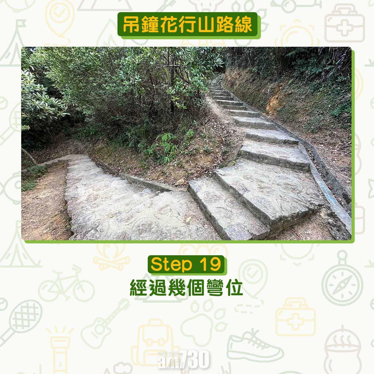 吊鐘花︱十二笏鄰近沙田圍黃大仙 市區簡易賞花之選