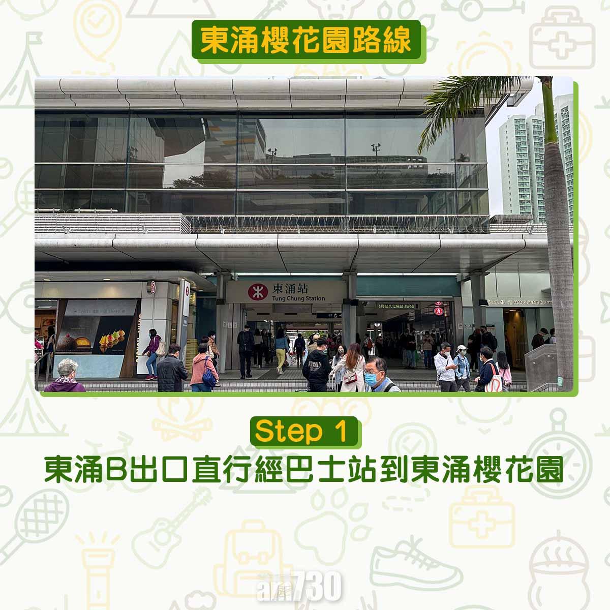 東涌櫻花園