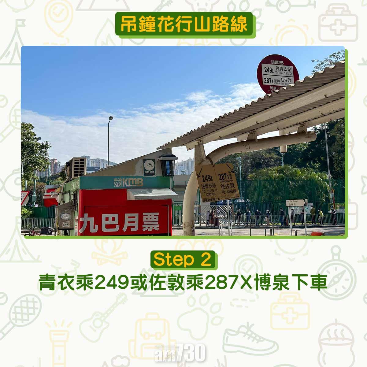 吊鐘花︱十二笏鄰近沙田圍黃大仙 市區簡易賞花之選