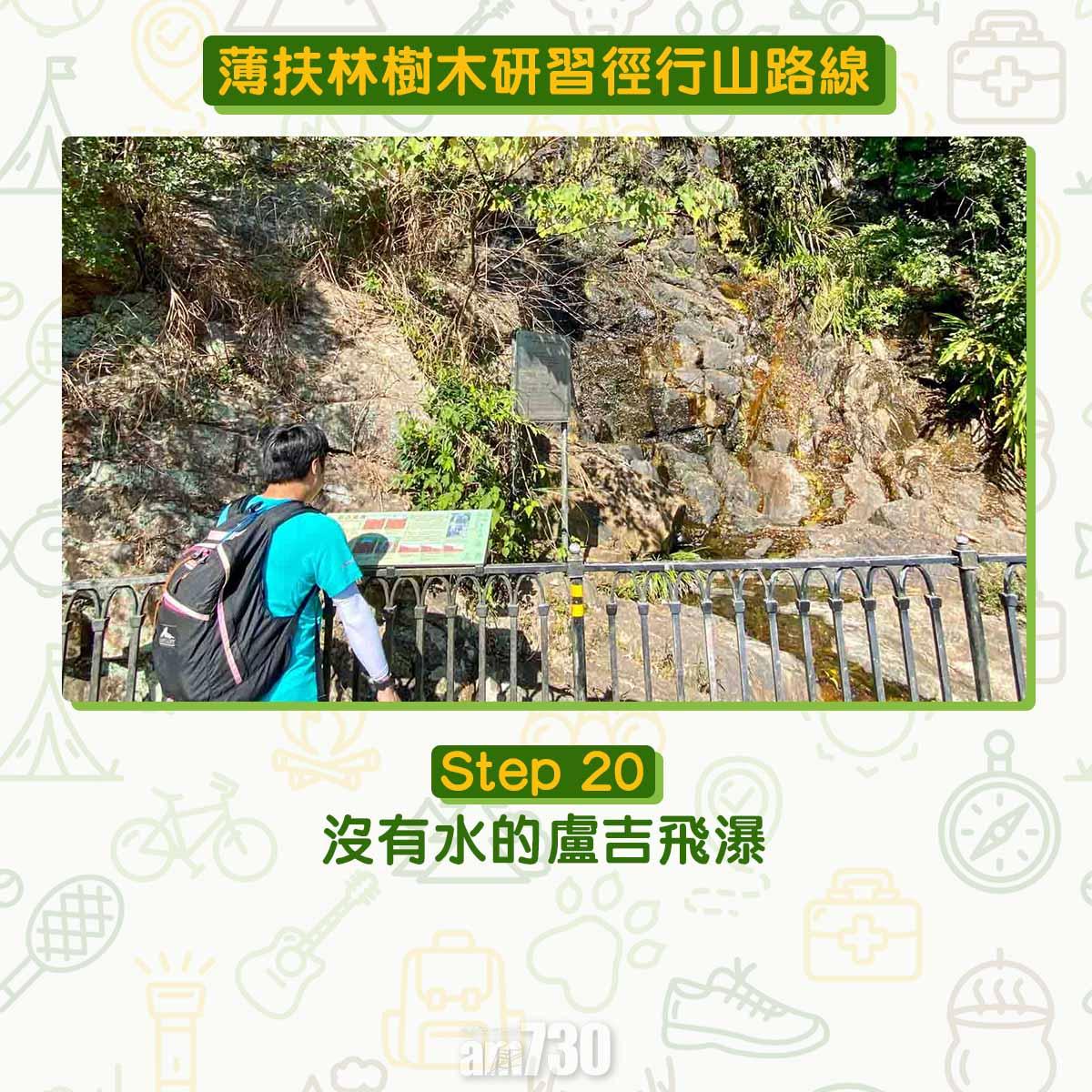 薄扶林樹木研習徑 繞太平山一圈180度賞維港