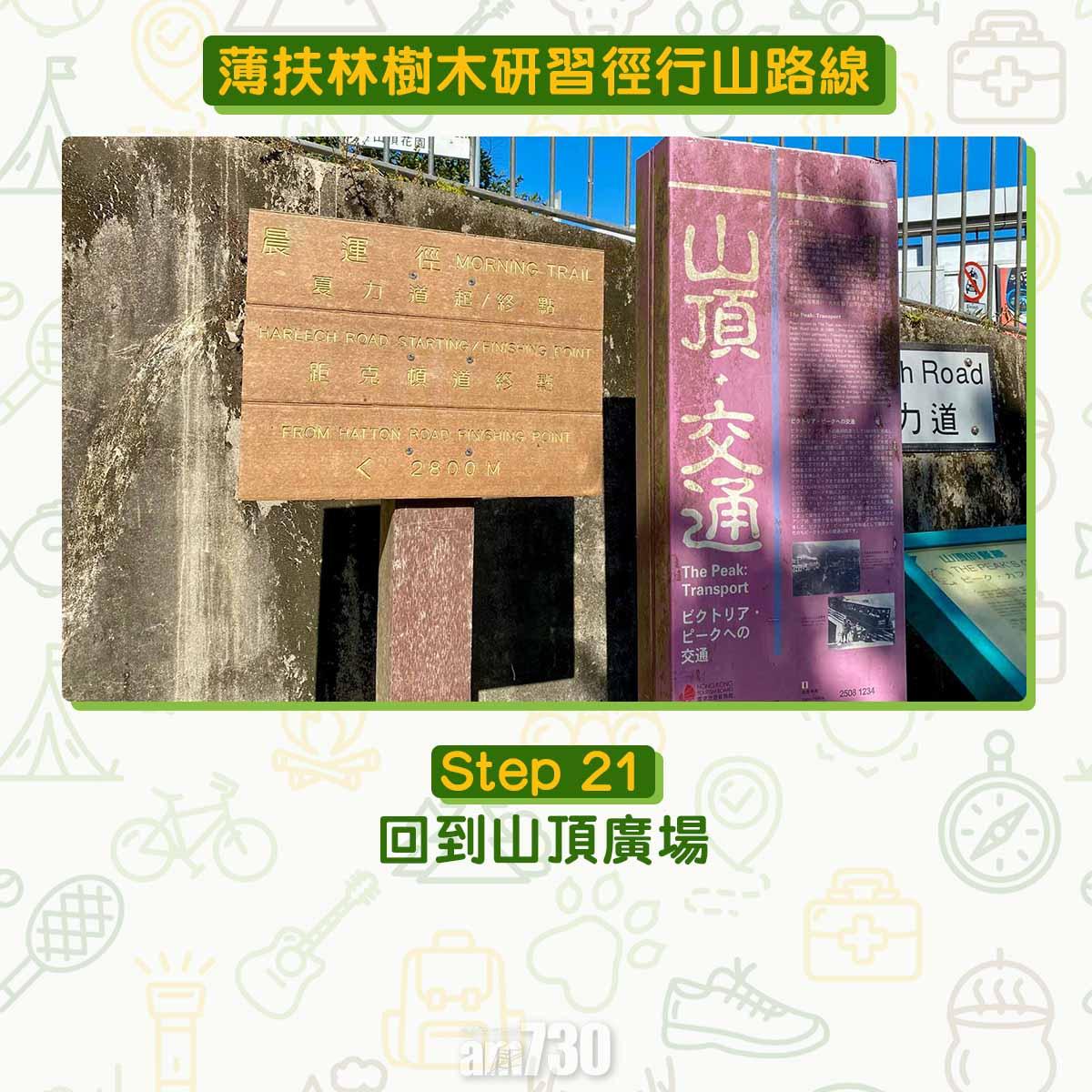 薄扶林樹木研習徑 繞太平山一圈180度賞維港