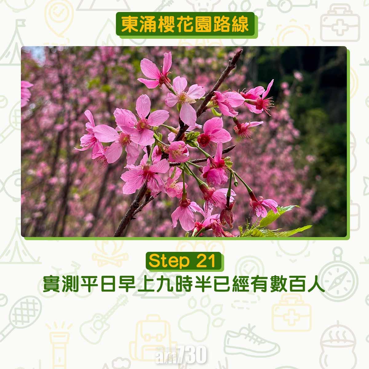 東涌櫻花園