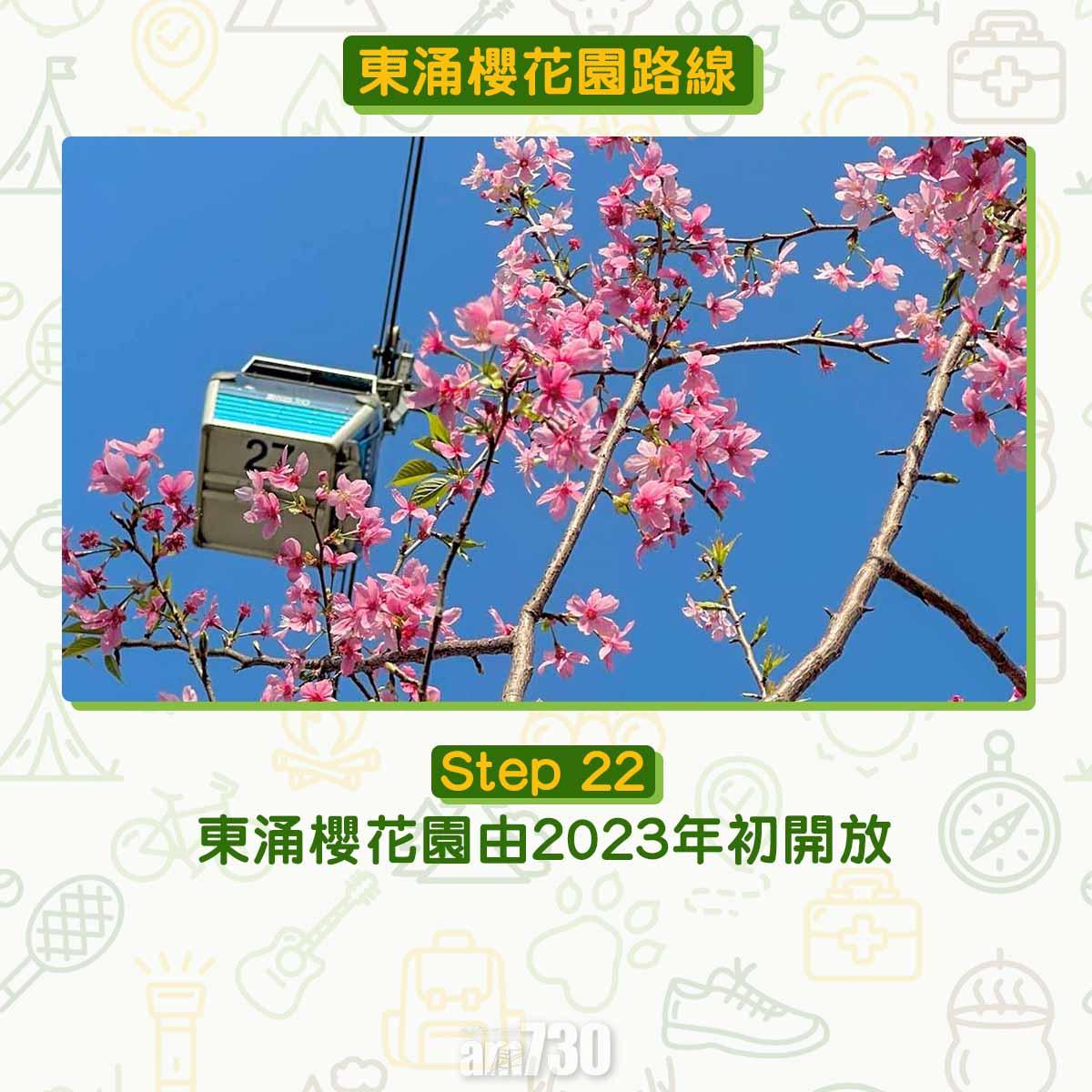 東涌櫻花園