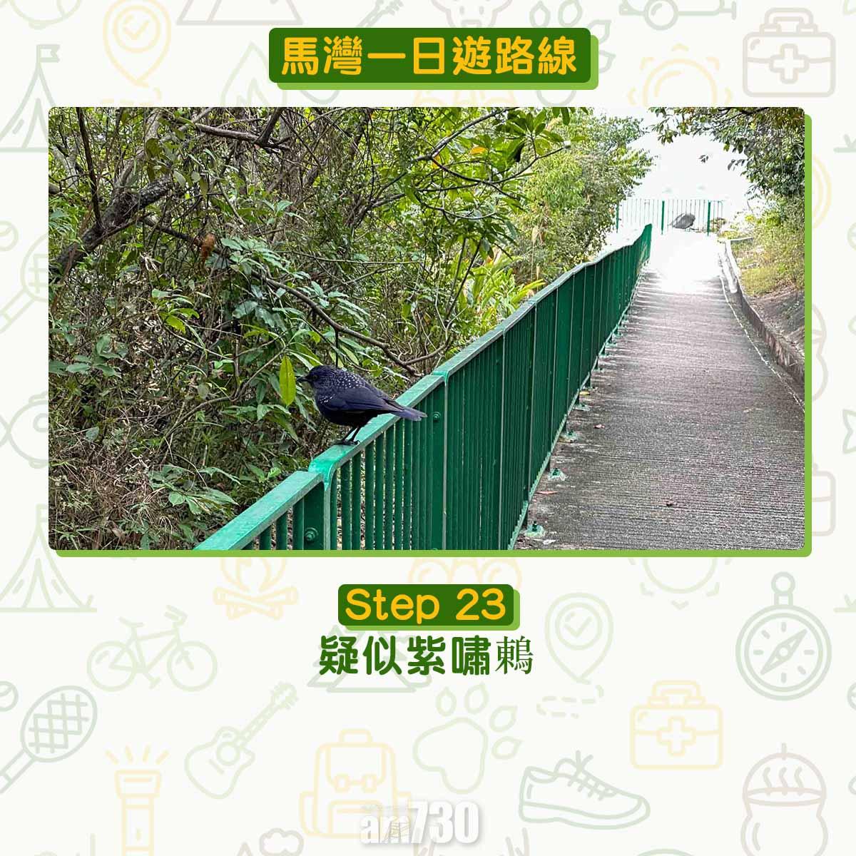 馬灣一日遊︱拍拖親子五大景點 青馬大橋到最高點